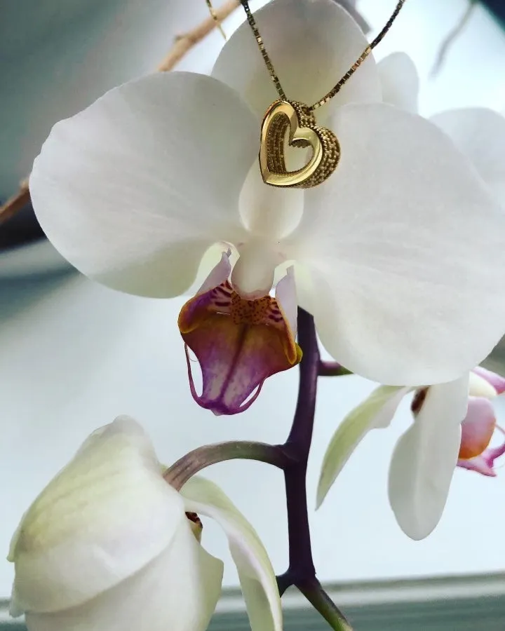 14K Heart Pendant on Adjustable Chain