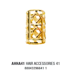 AHHA41