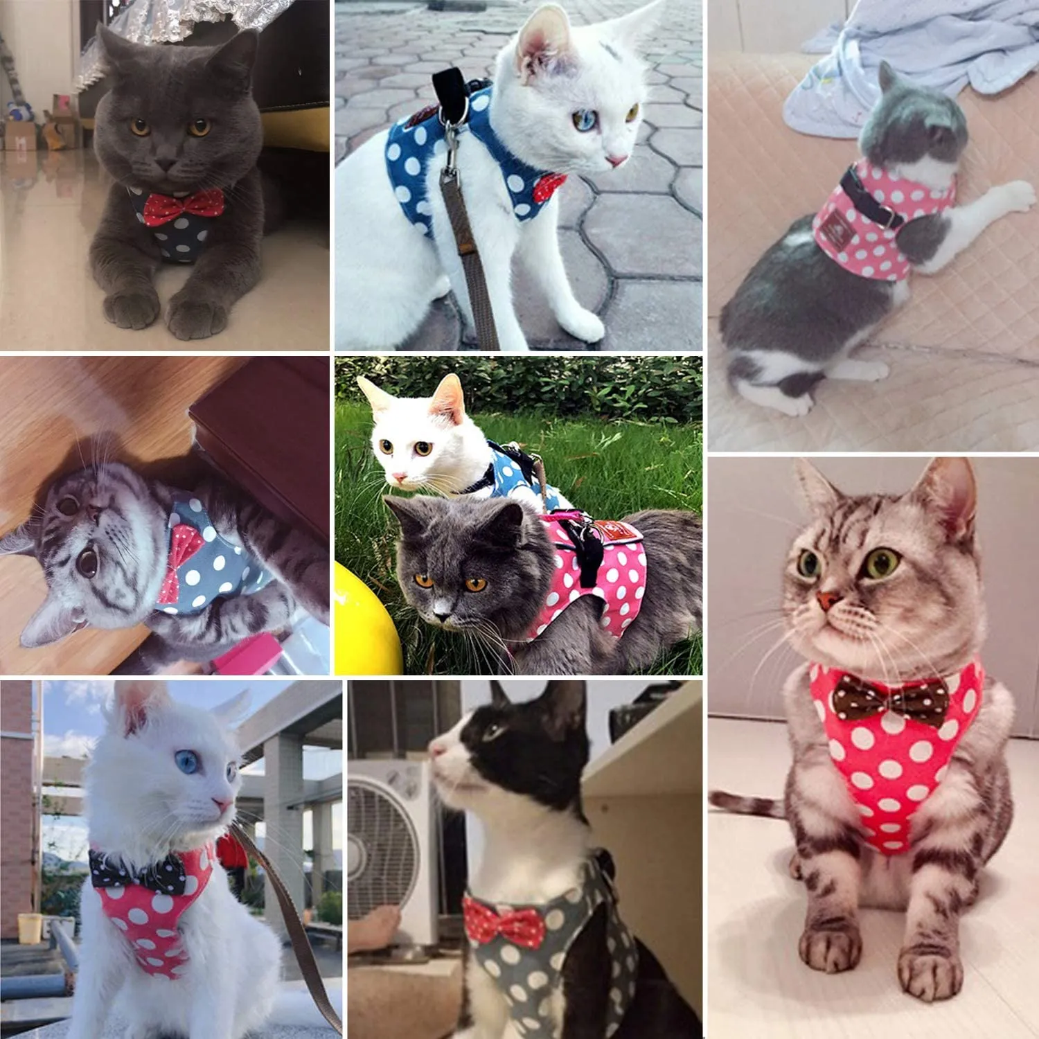 DOTON Cat Harness and Leash Set ,No Pull Escape Proof Cat Vest Harness with Bowknot Polka Dot Easy on Jacket for Walking and Running, Blue, Size Large!