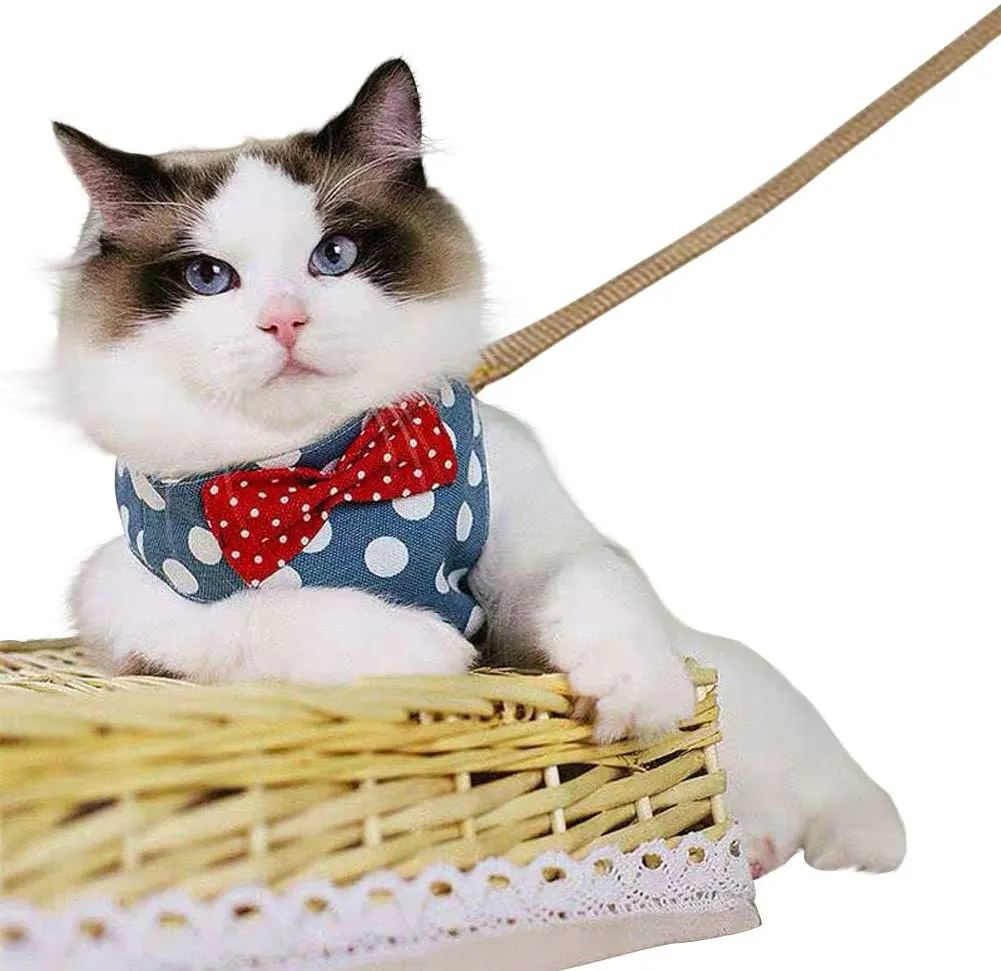 DOTON Cat Harness and Leash Set ,No Pull Escape Proof Cat Vest Harness with Bowknot Polka Dot Easy on Jacket for Walking and Running, Blue, Size Large!
