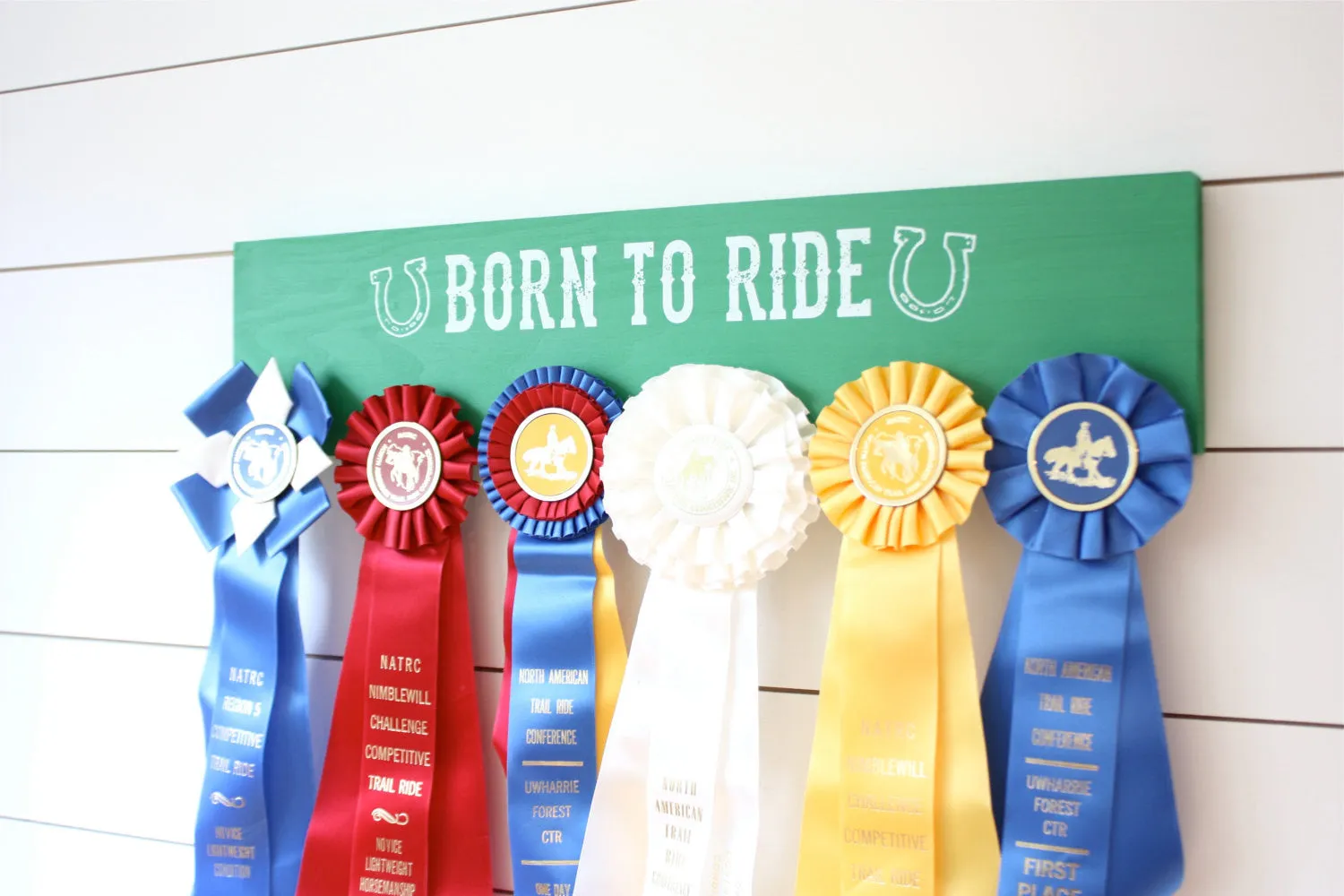 Equestrian Ribbon Holder - Born to Ride - Horseback Riding - Horse Show