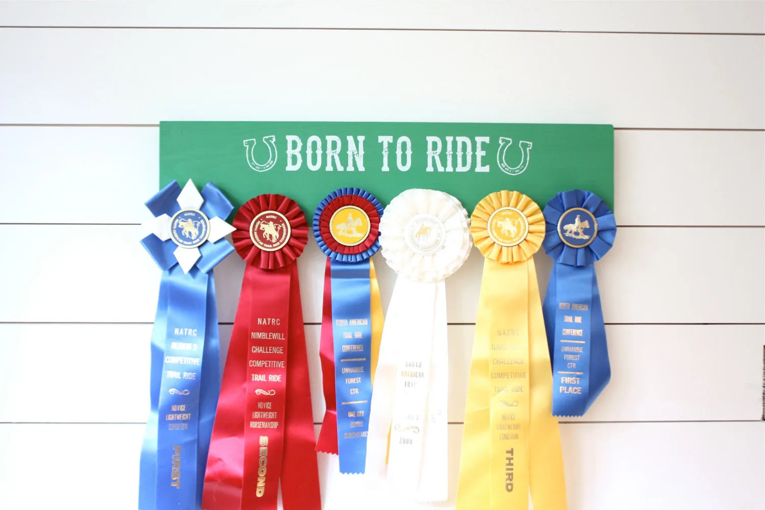 Equestrian Ribbon Holder - Born to Ride - Horseback Riding - Horse Show