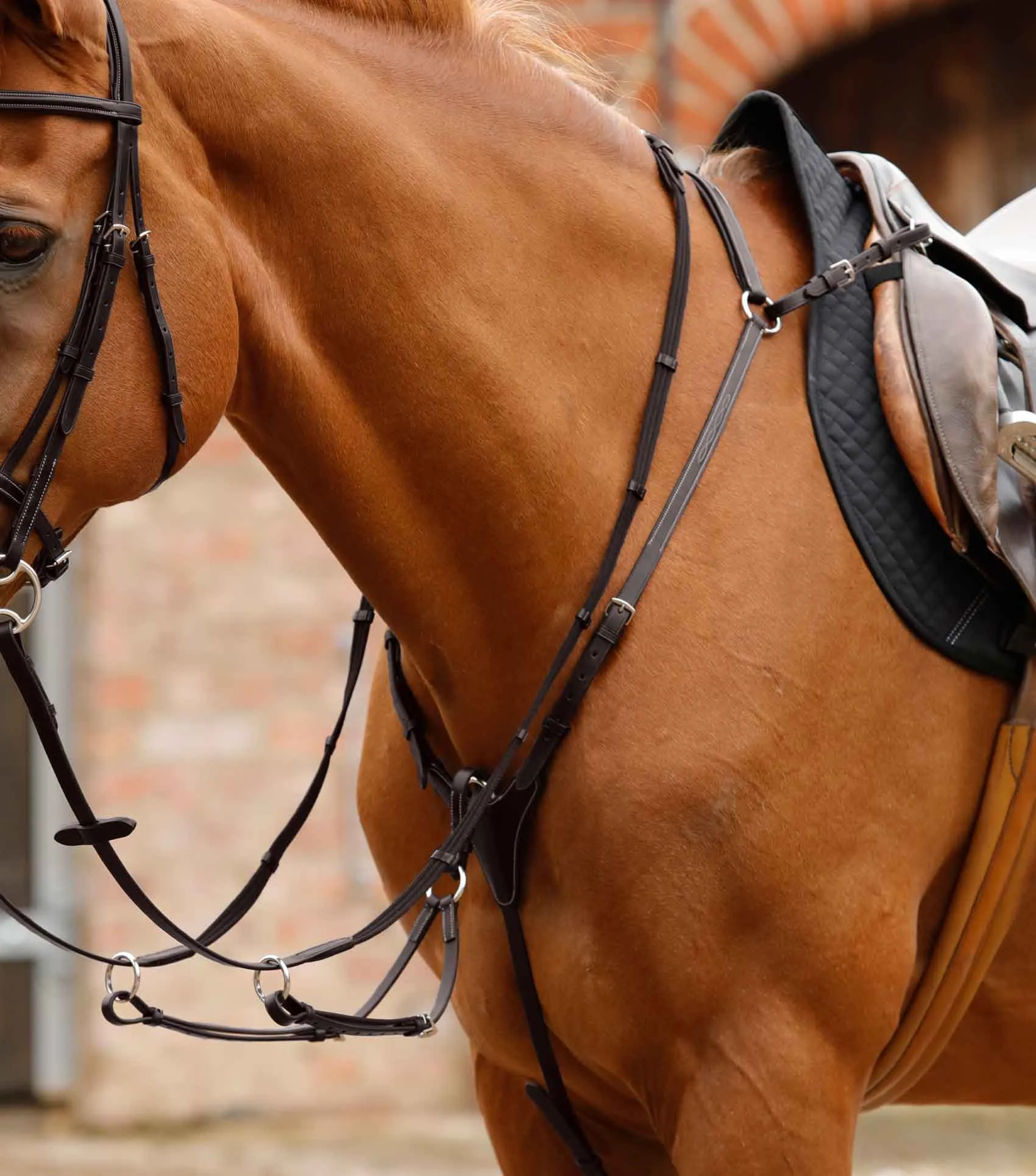 Norbello Hunter Breastplate Brown