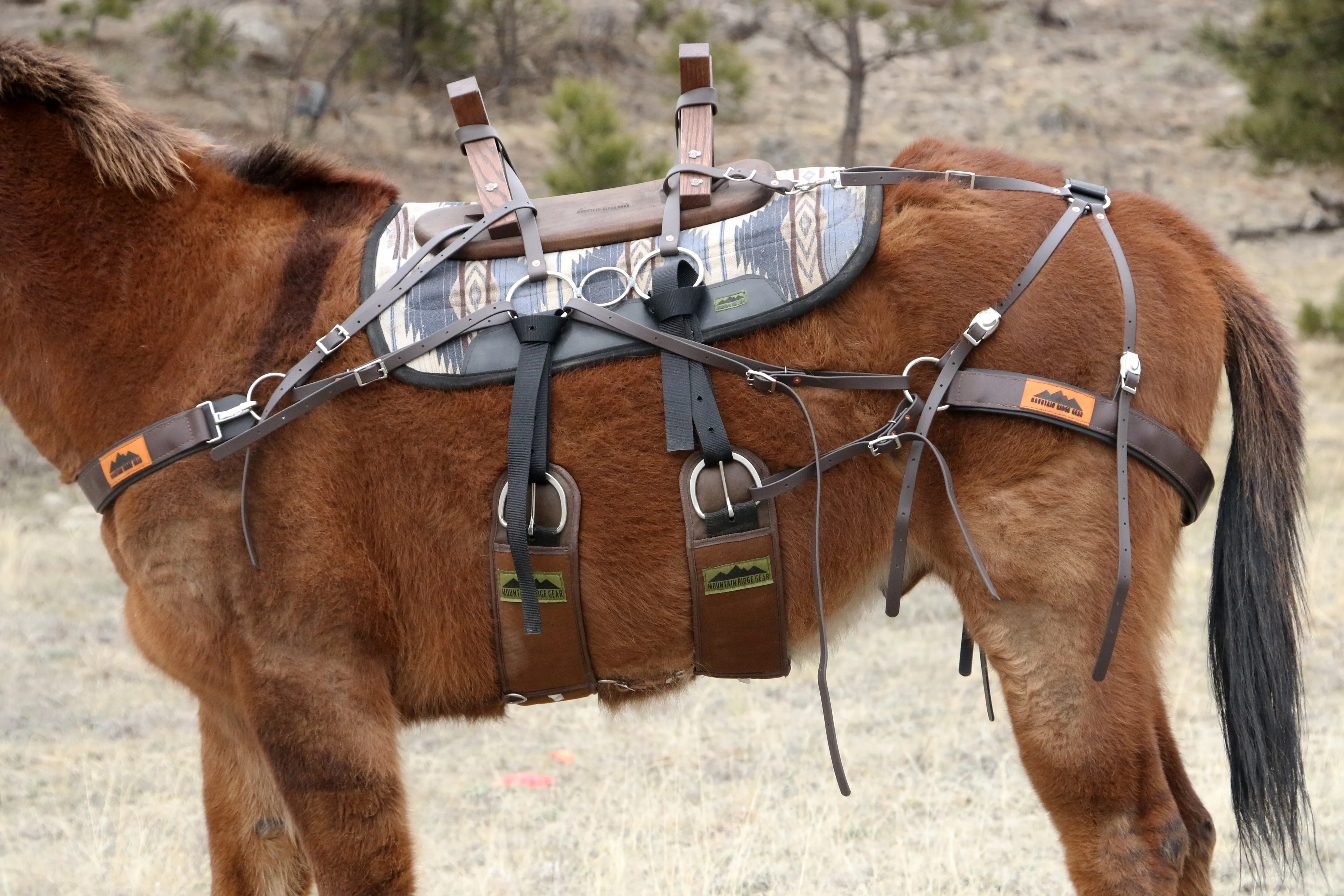 Pack Saddle - Sawbuck