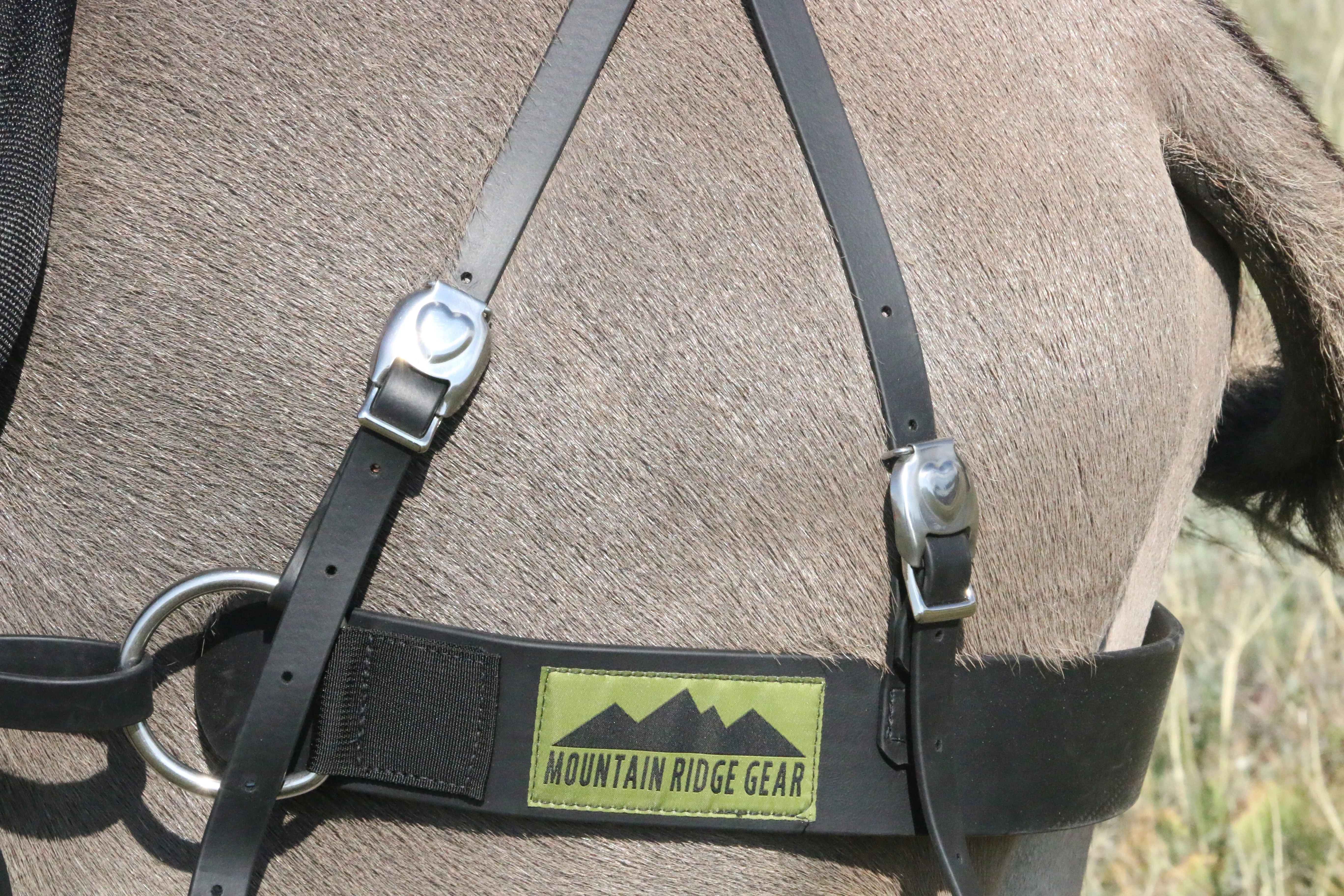 Pack Saddle - Sawbuck