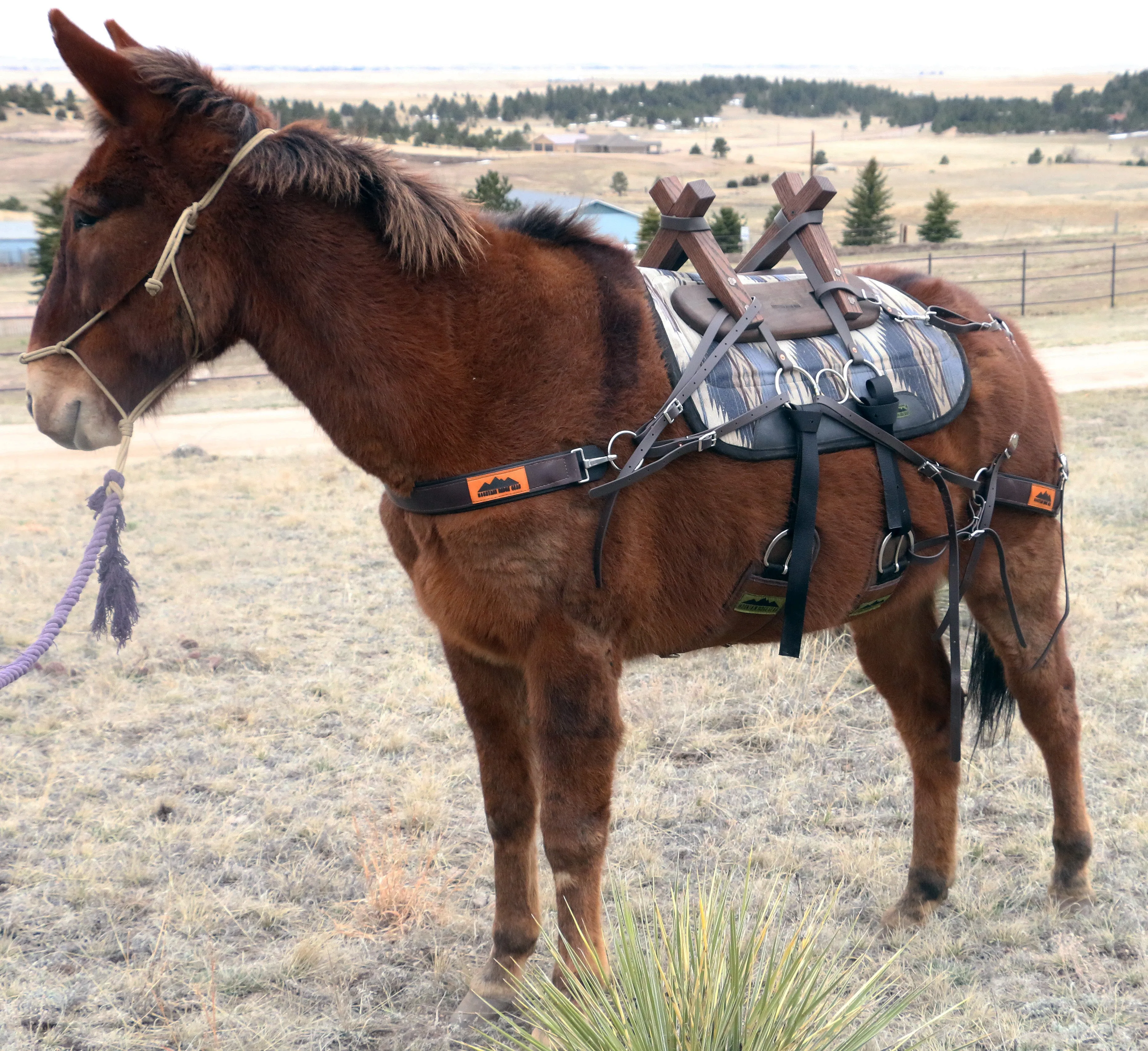 Pack Saddle - Sawbuck