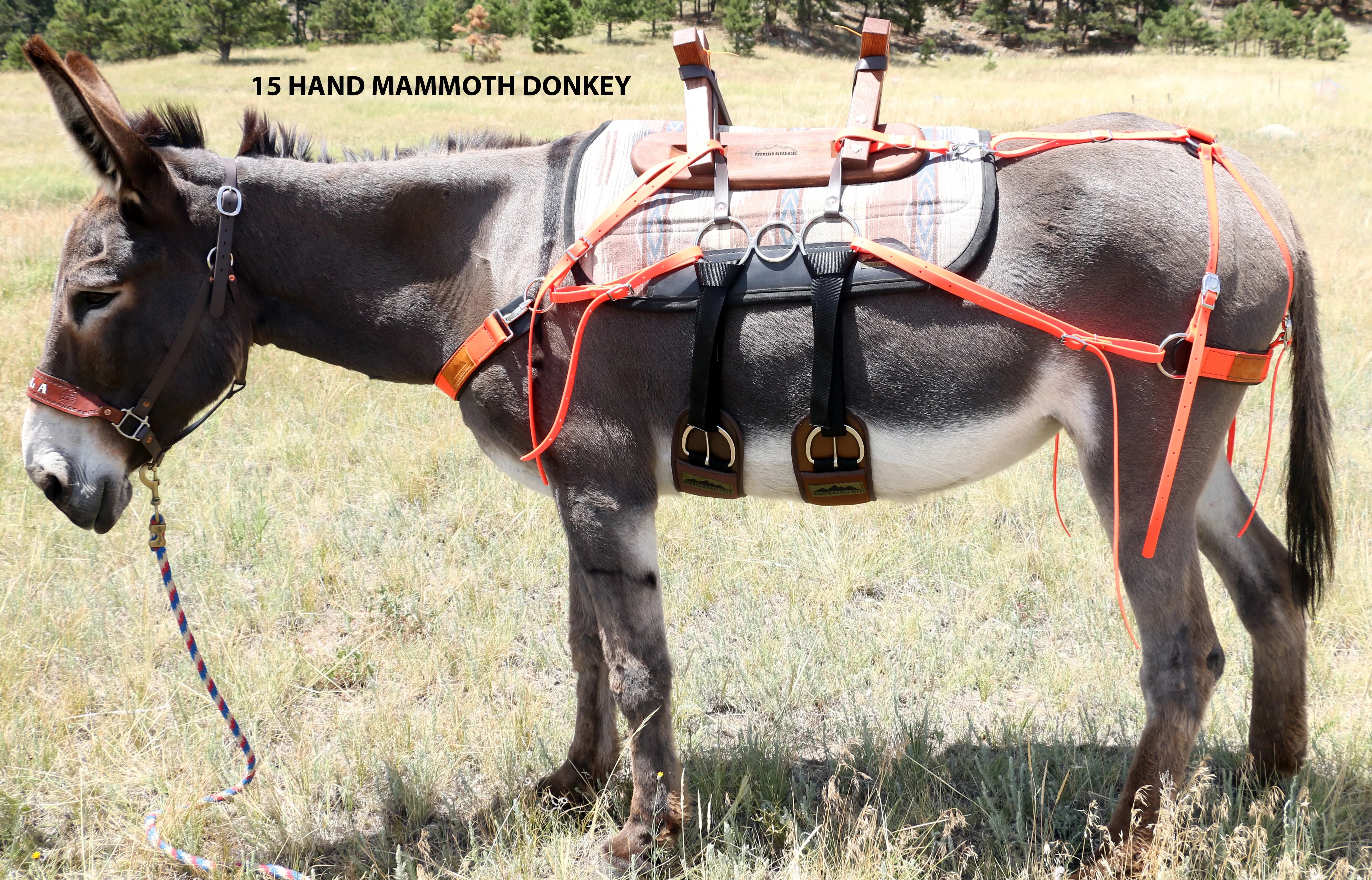 Pack Saddle - Sawbuck