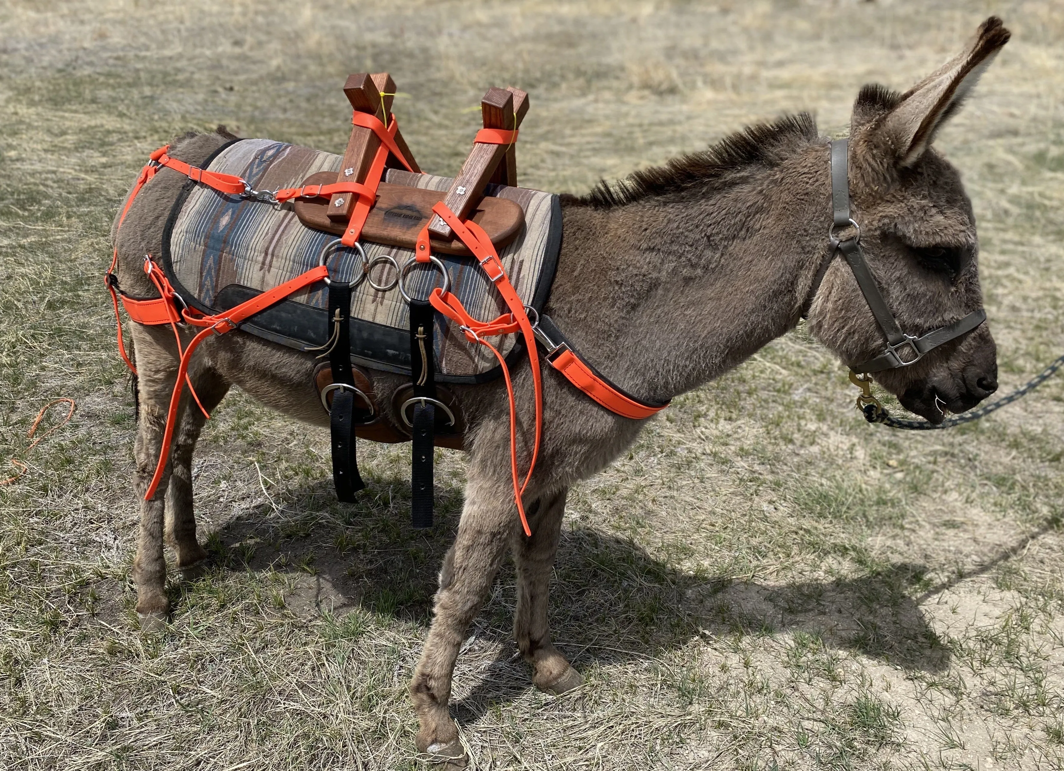 Pack Saddle - Sawbuck