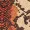 Rust Snake Print Midi Dress
