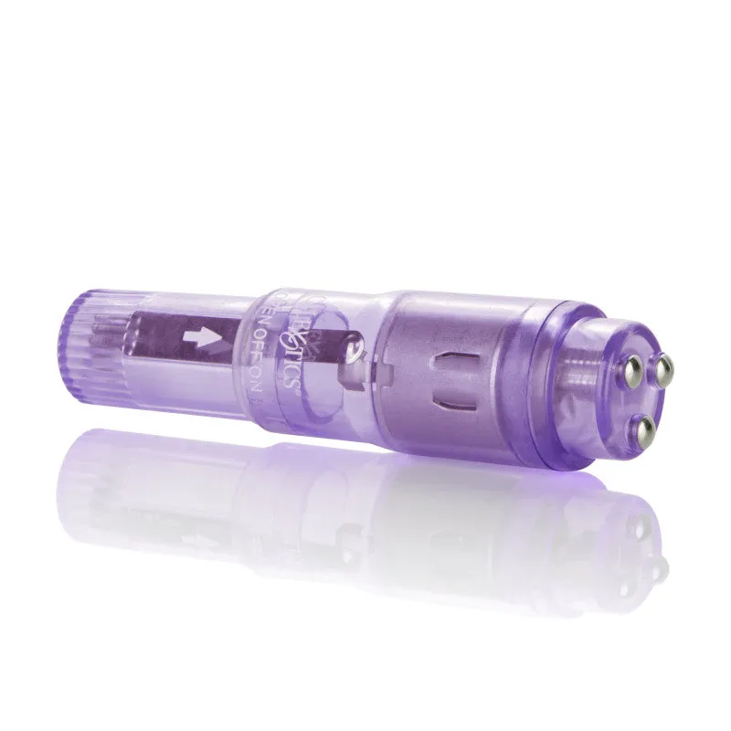 Shane's World Pocket Party - Purple