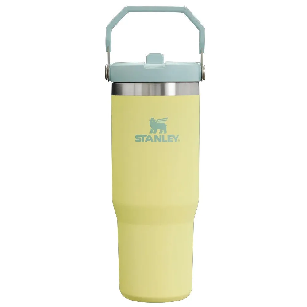 Stanley IceFlow™ Flip Straw Tumbler 20 oz. - 30 oz.