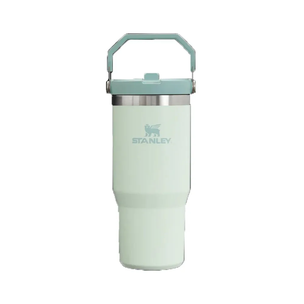 Stanley IceFlow™ Flip Straw Tumbler 20 oz. - 30 oz.