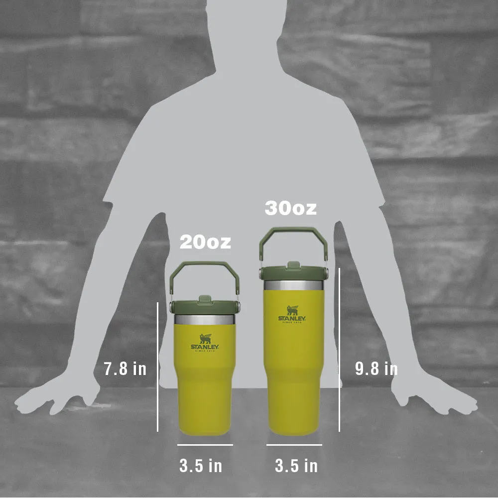 Stanley IceFlow™ Flip Straw Tumbler 20 oz. - 30 oz.