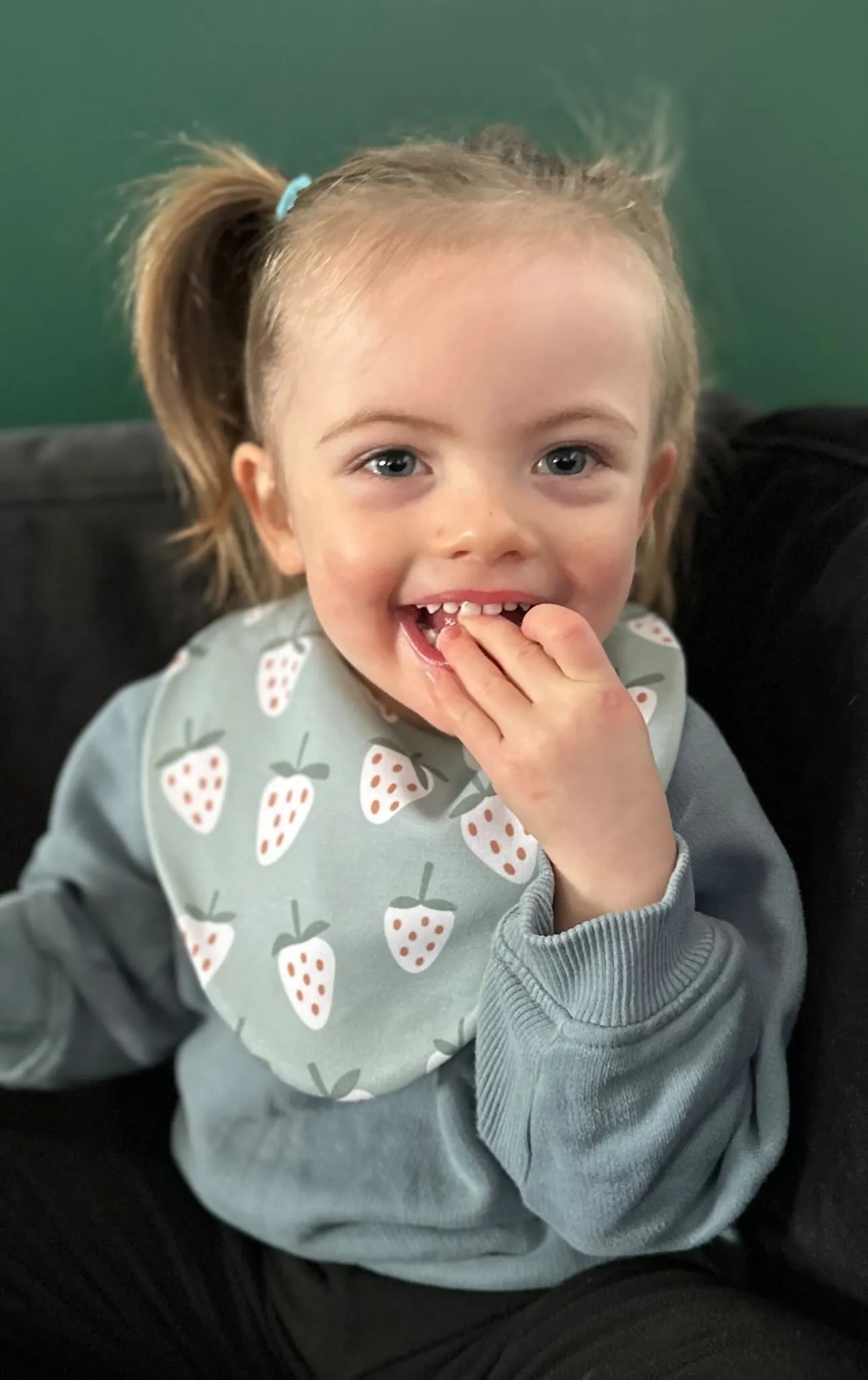 Strawberries Waterproof Dribble Bib