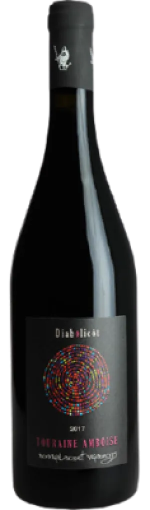 Touraine Rouge "Diabolicot’, Domaine Bonnigal-Bodet 2022