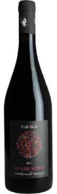 Touraine Rouge "Diabolicot’, Domaine Bonnigal-Bodet 2022